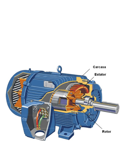 Motor asíncrono trifásico